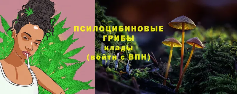 Галлюциногенные грибы Magic Shrooms  что такое   Челябинск 